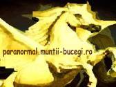 Calul zburător