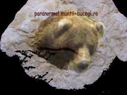Capul de urs