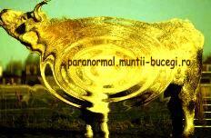 Misterul luminii pâlpâitoare